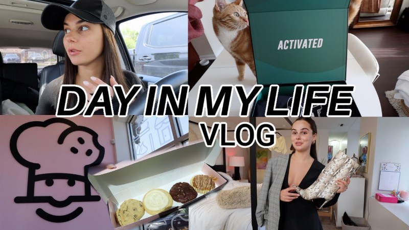 image 0 Diml Vlog: Busy Being An Adult  :: Ejb Vlogs