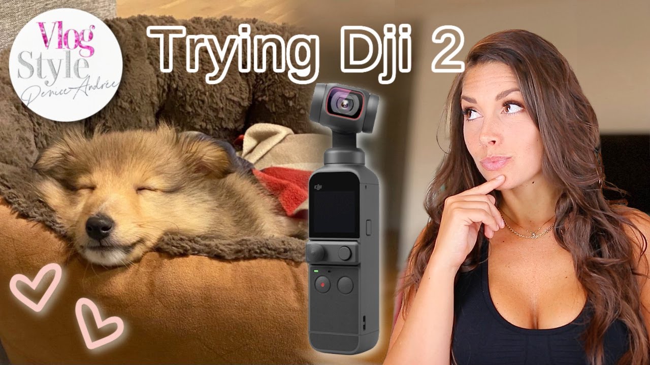 image 0 Vlog : Getting A Puppy & Epic Failure Dji2 Camera
